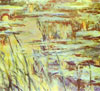 reflets sur l'eau- Monet